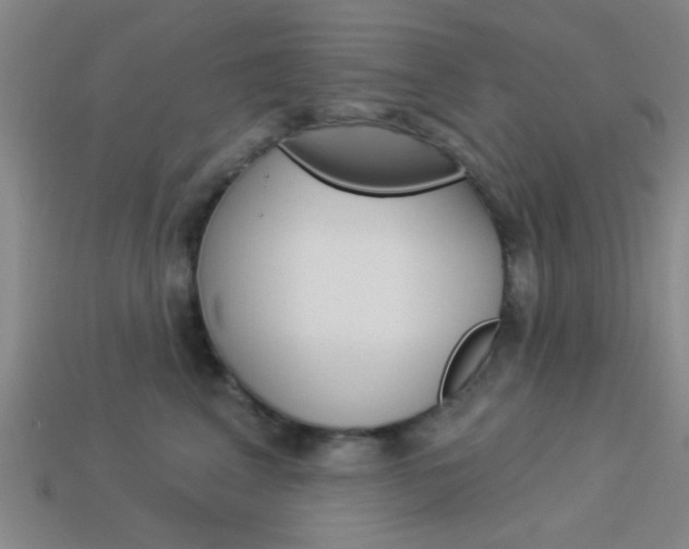 X0000113980617200910020950