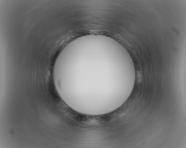 X0000113980618200910020950