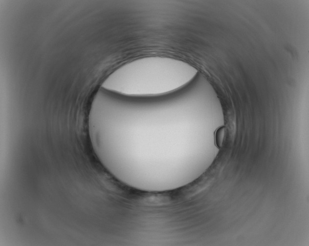 X0000113980619200910020950