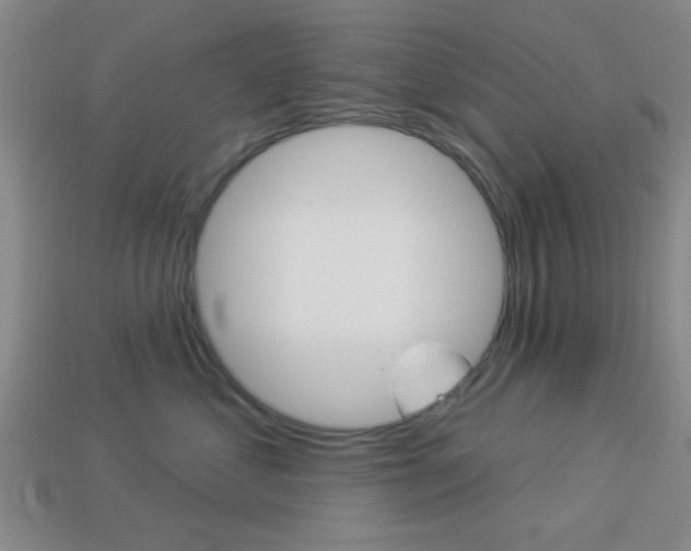 X0000113980621200910020950