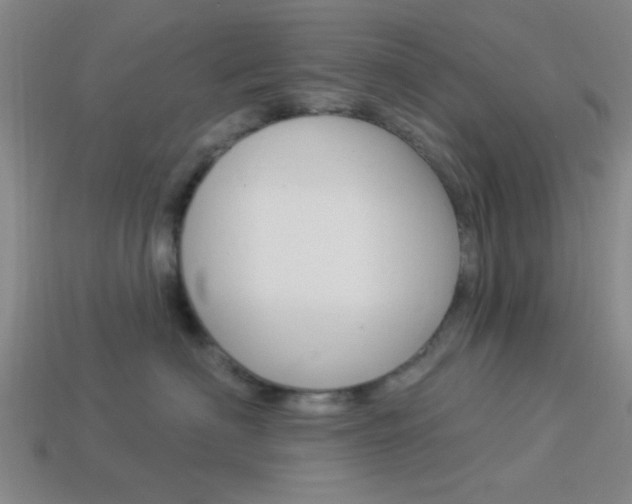 X0000113980622200910020950