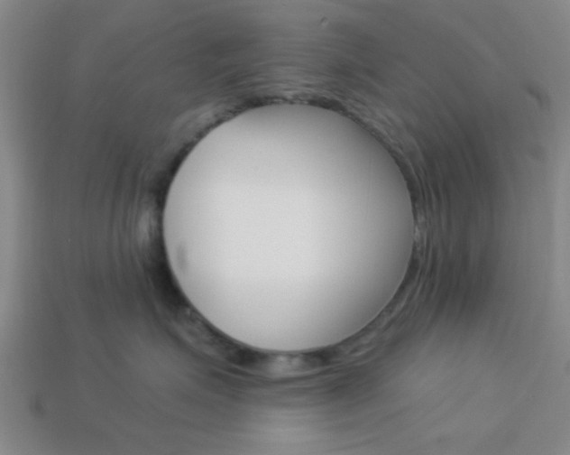 X0000113980623200910020950