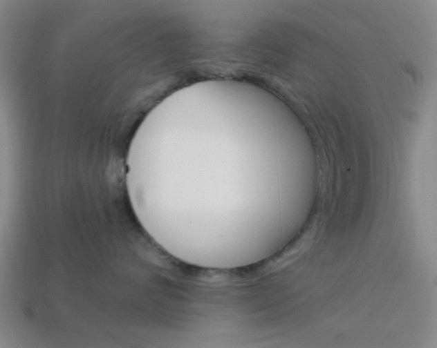 X0000113980624200910020950
