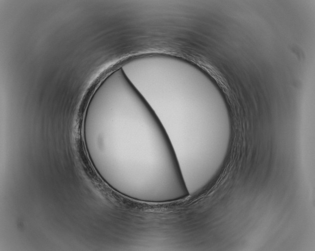 X0000113980628200910020949