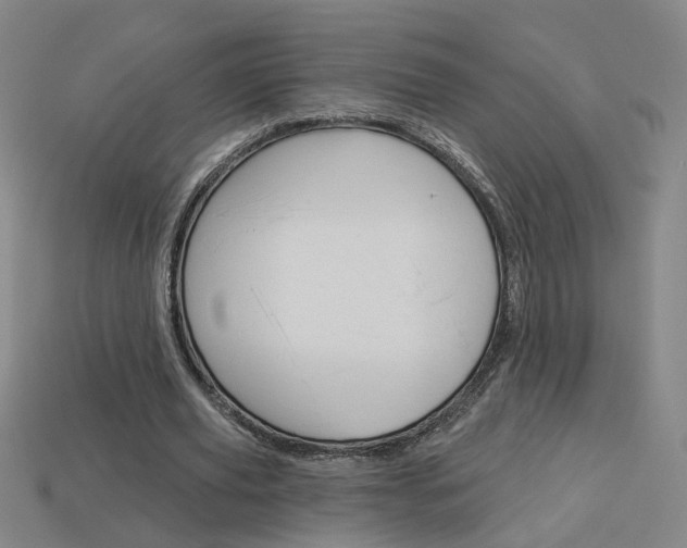 X0000113980629200910020949