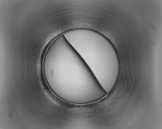X0000113980630200910020949