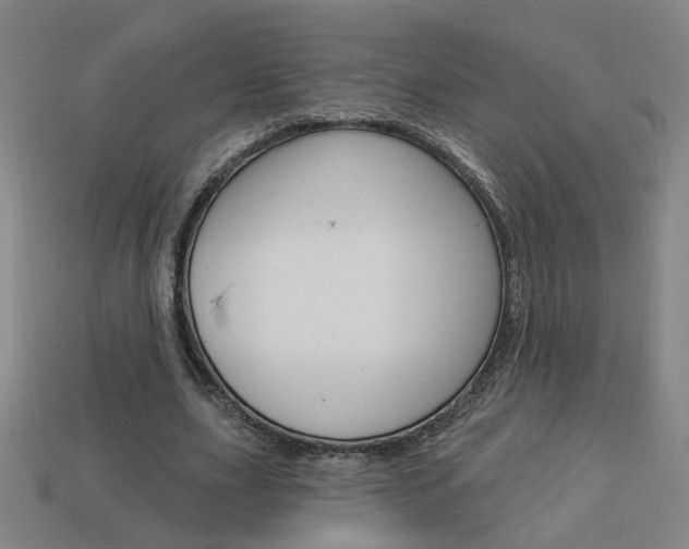 X0000113980631200910020949