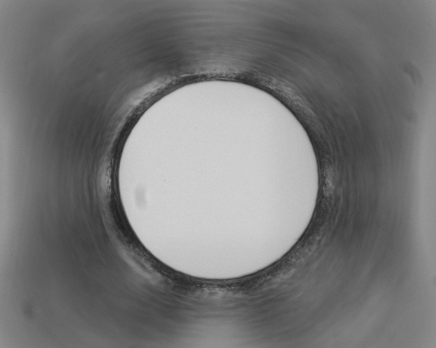 X0000113980632200910020949