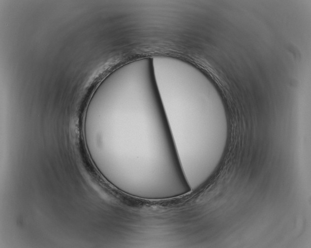 X0000113980634200910020949