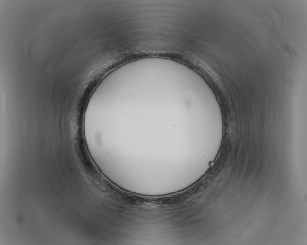 X0000113980635200910020949