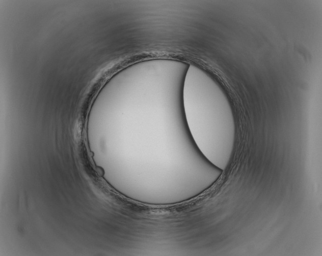 X0000113980636200910020950