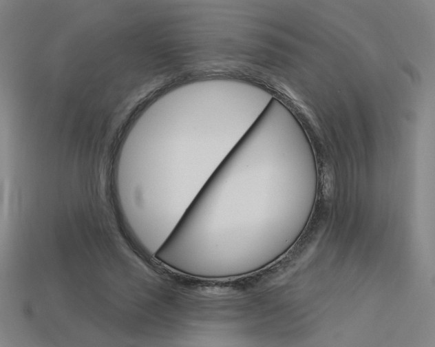 X0000113980637200910020950