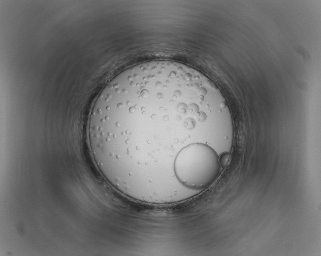 X0000113980639200910020950