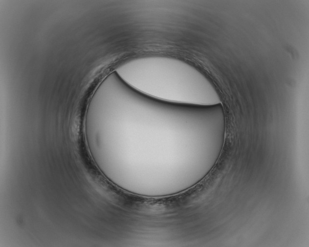 X0000113980640200910020950
