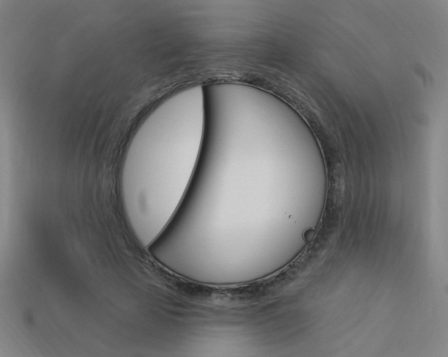 X0000113980641200910020950