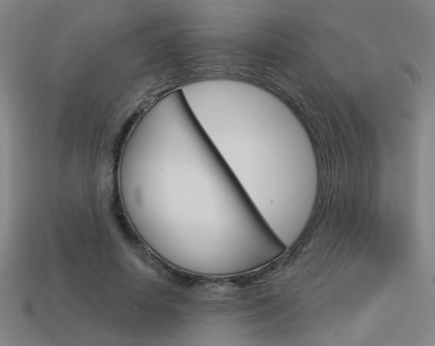 X0000113980642200910020950