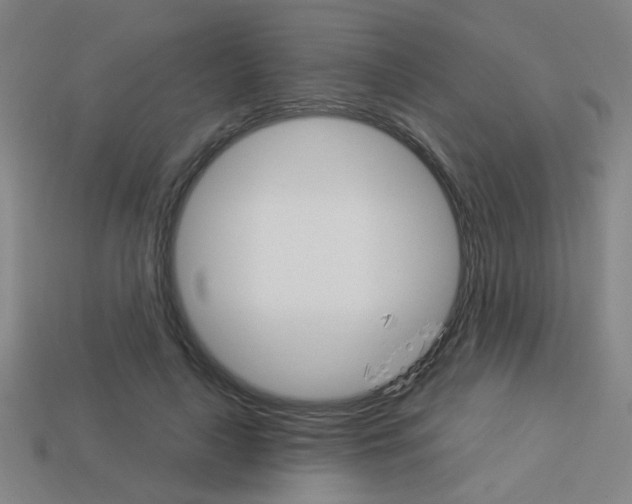 X0000113980643200910020950
