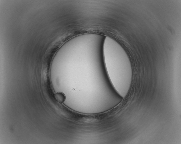 X0000113980644200910020950