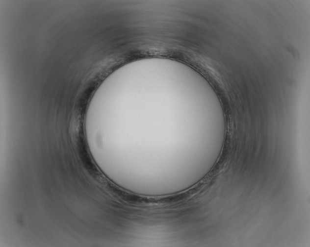 X0000113980645200910020950