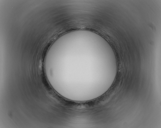 X0000113980646200910020950