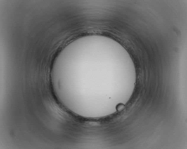 X0000113980649200910020950
