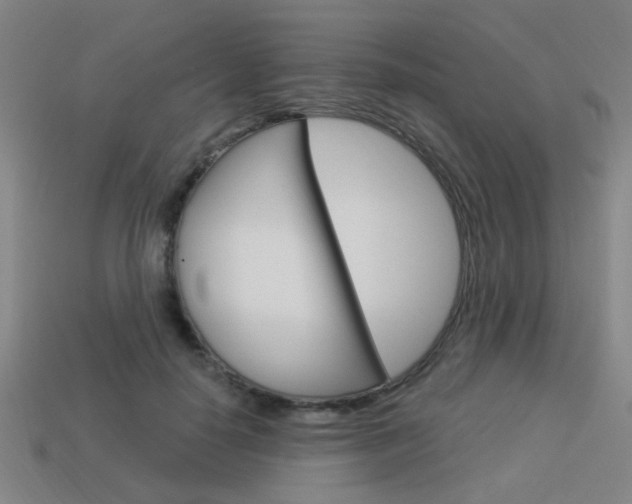 X0000113980650200910020950