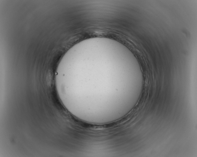 X0000113980651200910020950