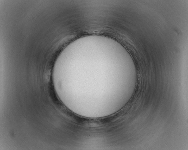 X0000113980652200910020950