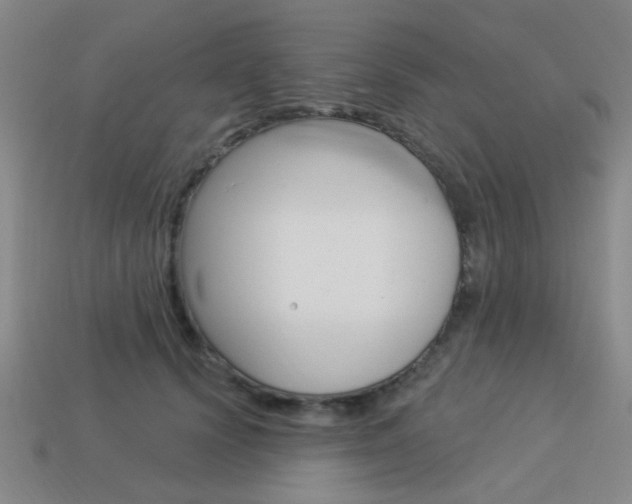 X0000113980656200910020950