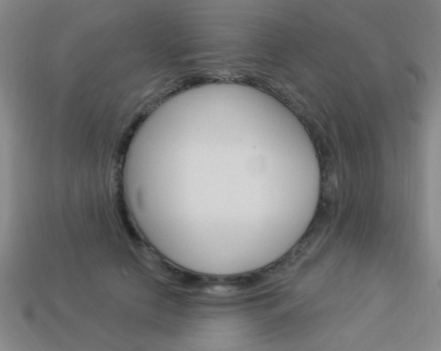 X0000113980658200910020950