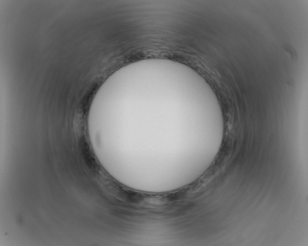X0000113980659200910020950