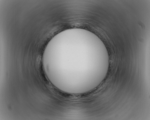 X0000113980660200910020950
