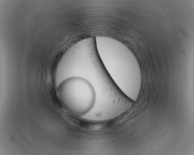 X0000113980662200910020950
