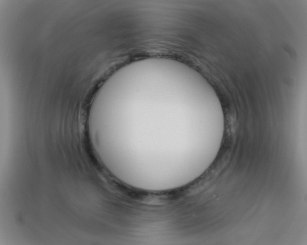 X0000113980664200910020950