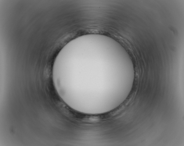 X0000113980665200910020950