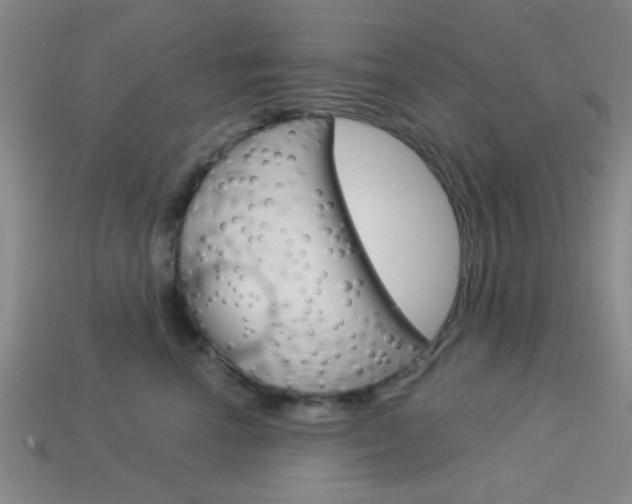 X0000113980666200910020950