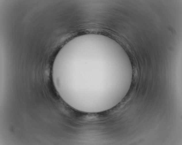 X0000113980668200910020950