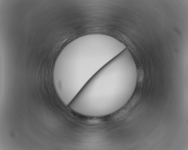 X0000113980669200910020950