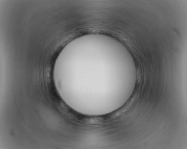 X0000113980670200910020950
