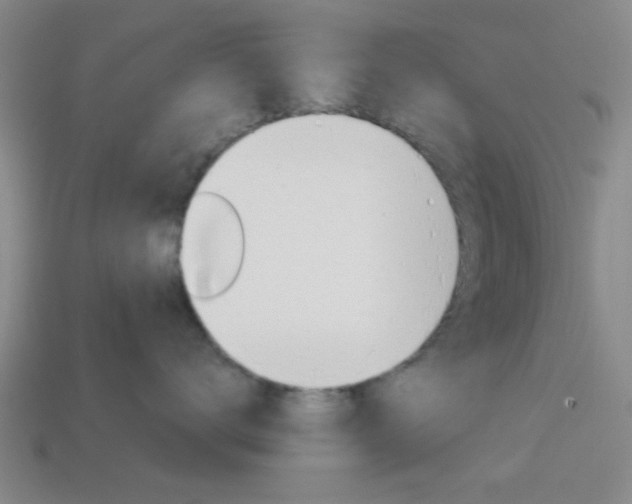 X0000113980672200910020950