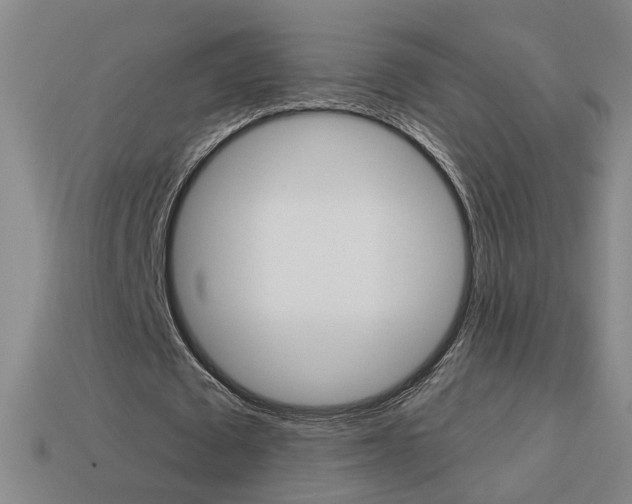 X0000113980673200910020949