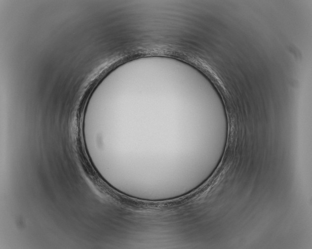 X0000113980674200910020949