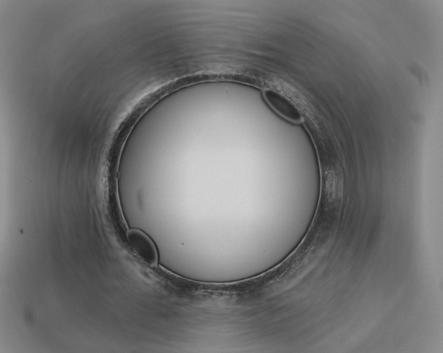 X0000113980676200910020949