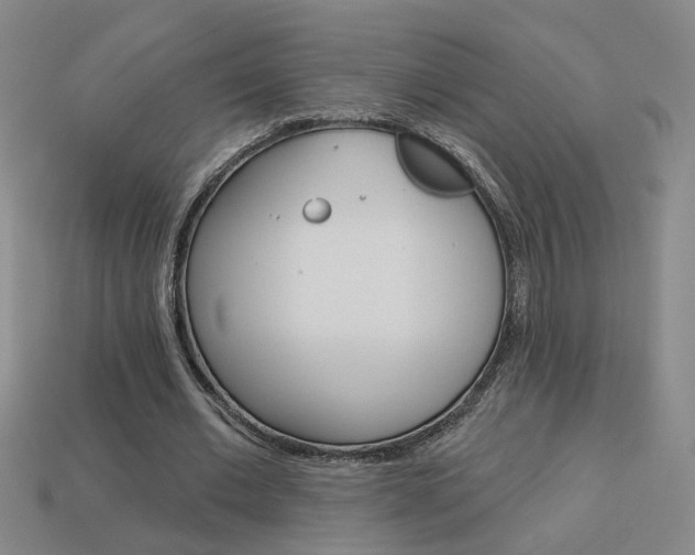 X0000113980677200910020949