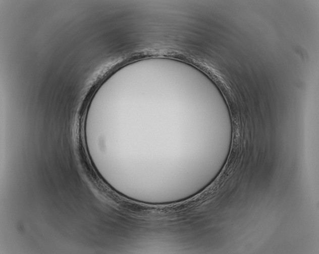 X0000113980678200910020949