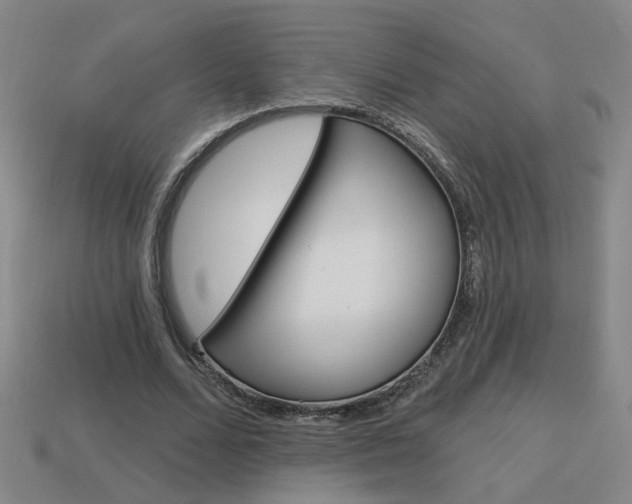 X0000113980680200910020949
