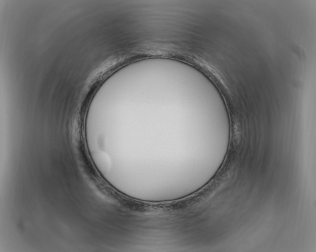X0000113980682200910020949