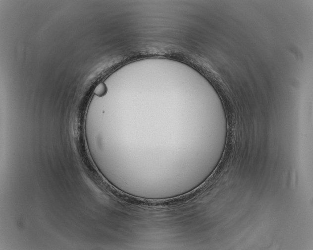 X0000113980683200910020949