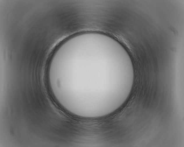 X0000113980684200910020949