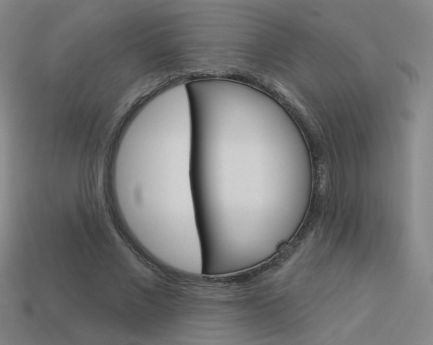 X0000113980685200910020949